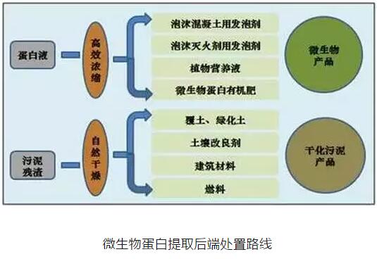 污尊龙凯时处理处置市场不断扩大 什么才是主流技术？